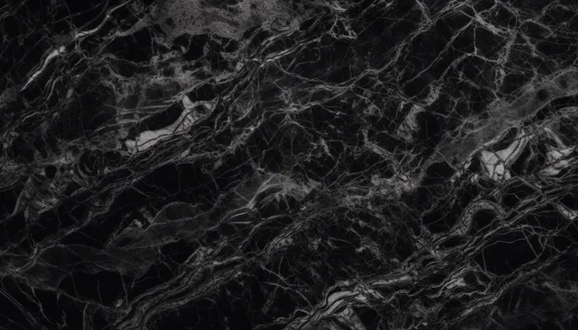 Press and Media Appearances